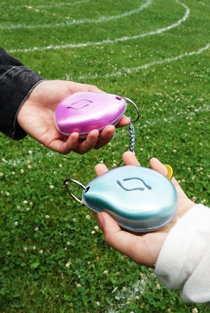 Two Echo companions connected by a chain