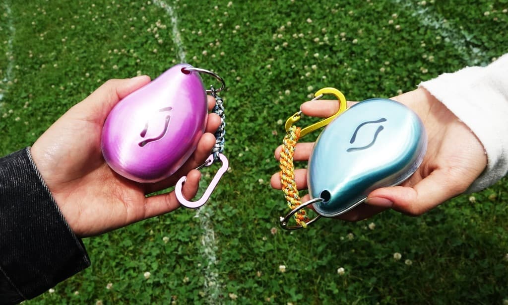 Pink and blue Echo companions held outside