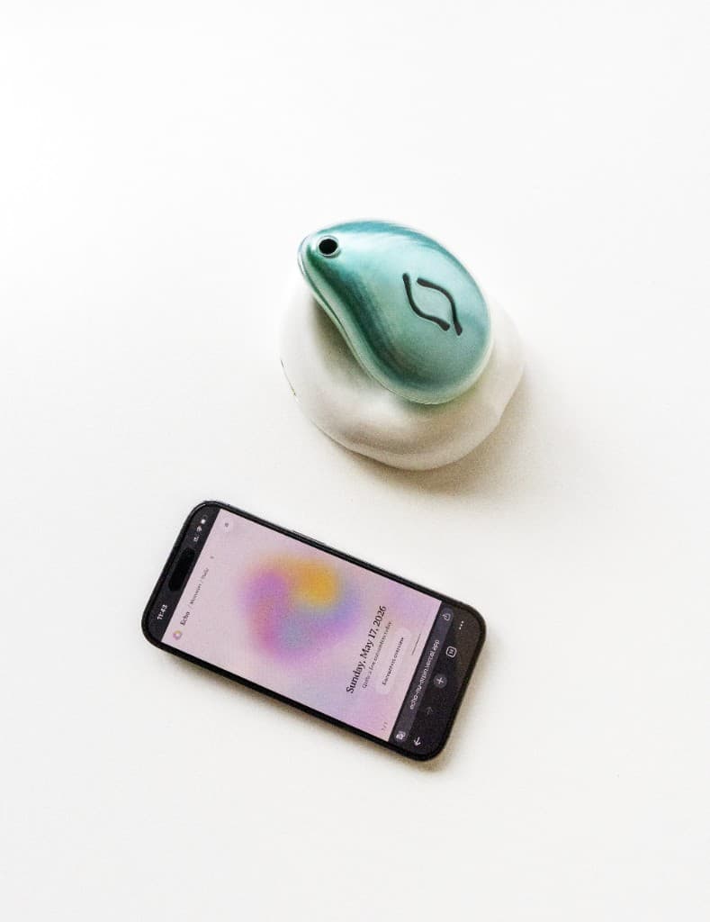Echo on its station beside the digital interface